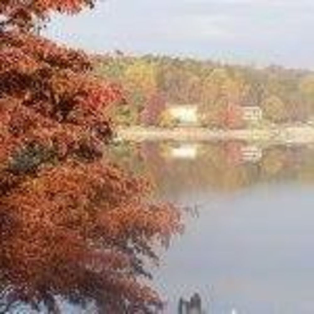 Meet your Posher, Noreen